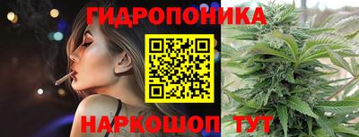 спиды Вышний Волочёк